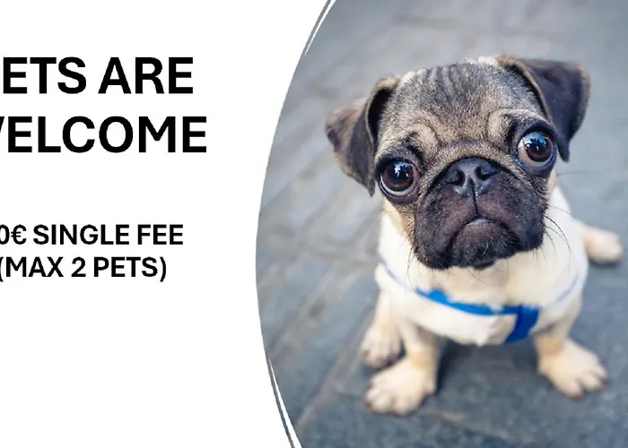 28 Casa Do Avo - 2km From The * Sesimbra