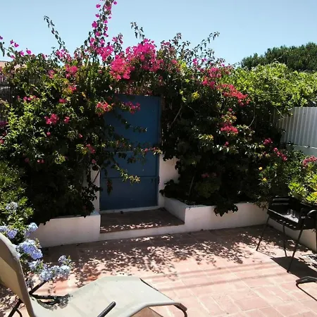 28 Casa Do Avô - 2km From The
